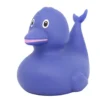 Badeand Delfin