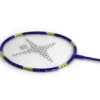 Badmintonracket Vibe 600 | 10 stk