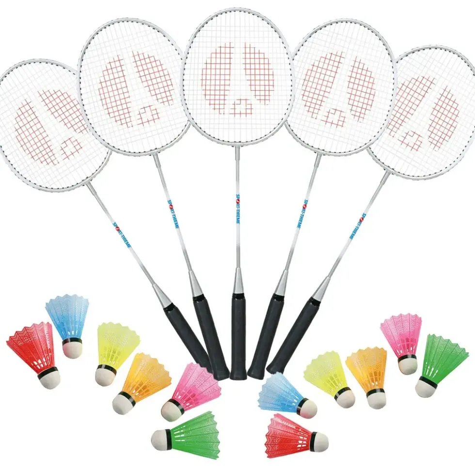 Badmintonsett School