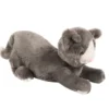 Bamse - Katt med vekt 1,9 kg