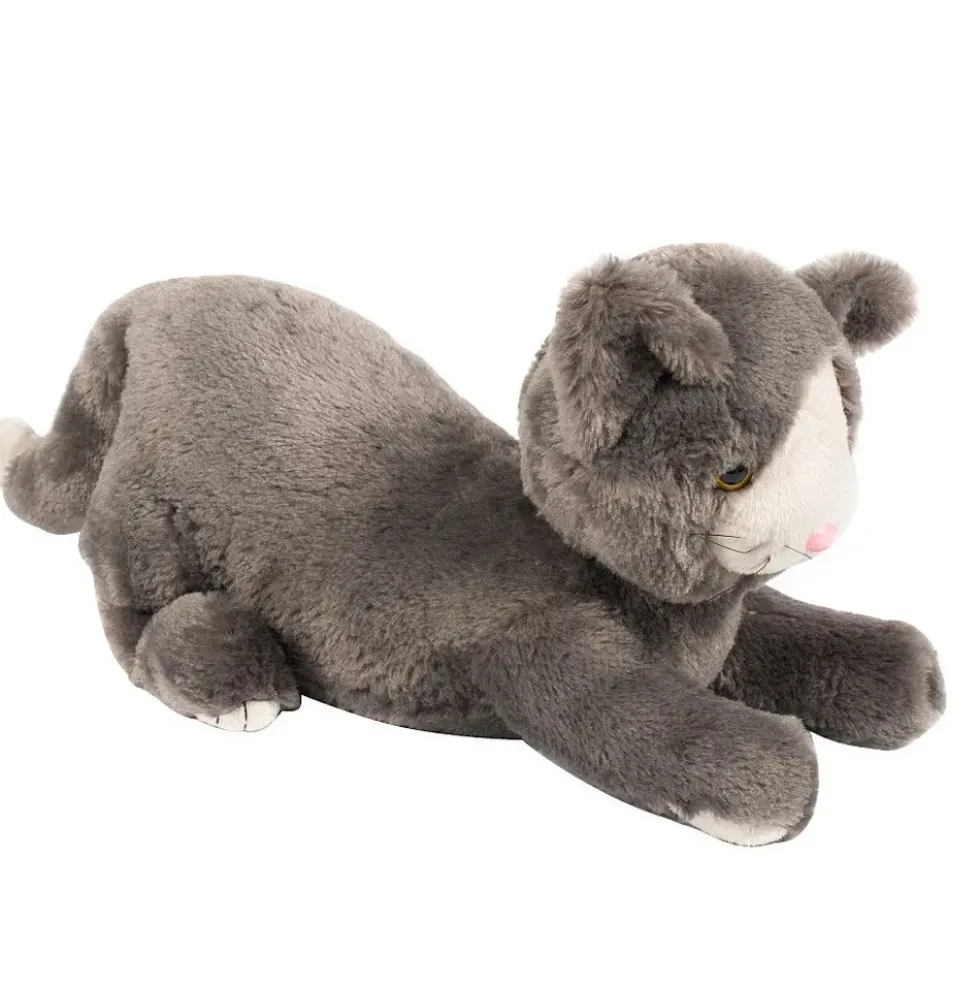 Bamse - Katt med vekt 1,9 kg