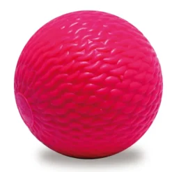 Bandyball Kosa