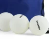 Bordtennisballer i bag