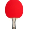 Bordtennisracket Sport-Thieme Advanced+