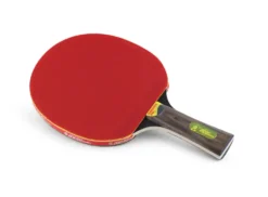 Bordtennisracket Top Energy P40+