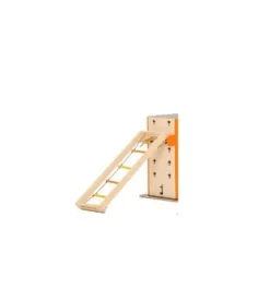 Cube Sports Kids Taustige