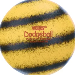 Dodgeball Softball Volley