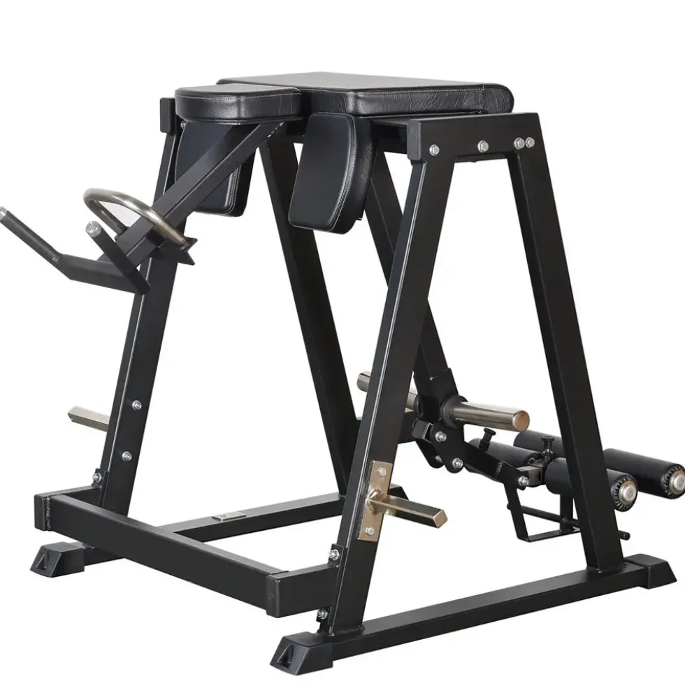 Gymleco Reverse Hyper Pendulum