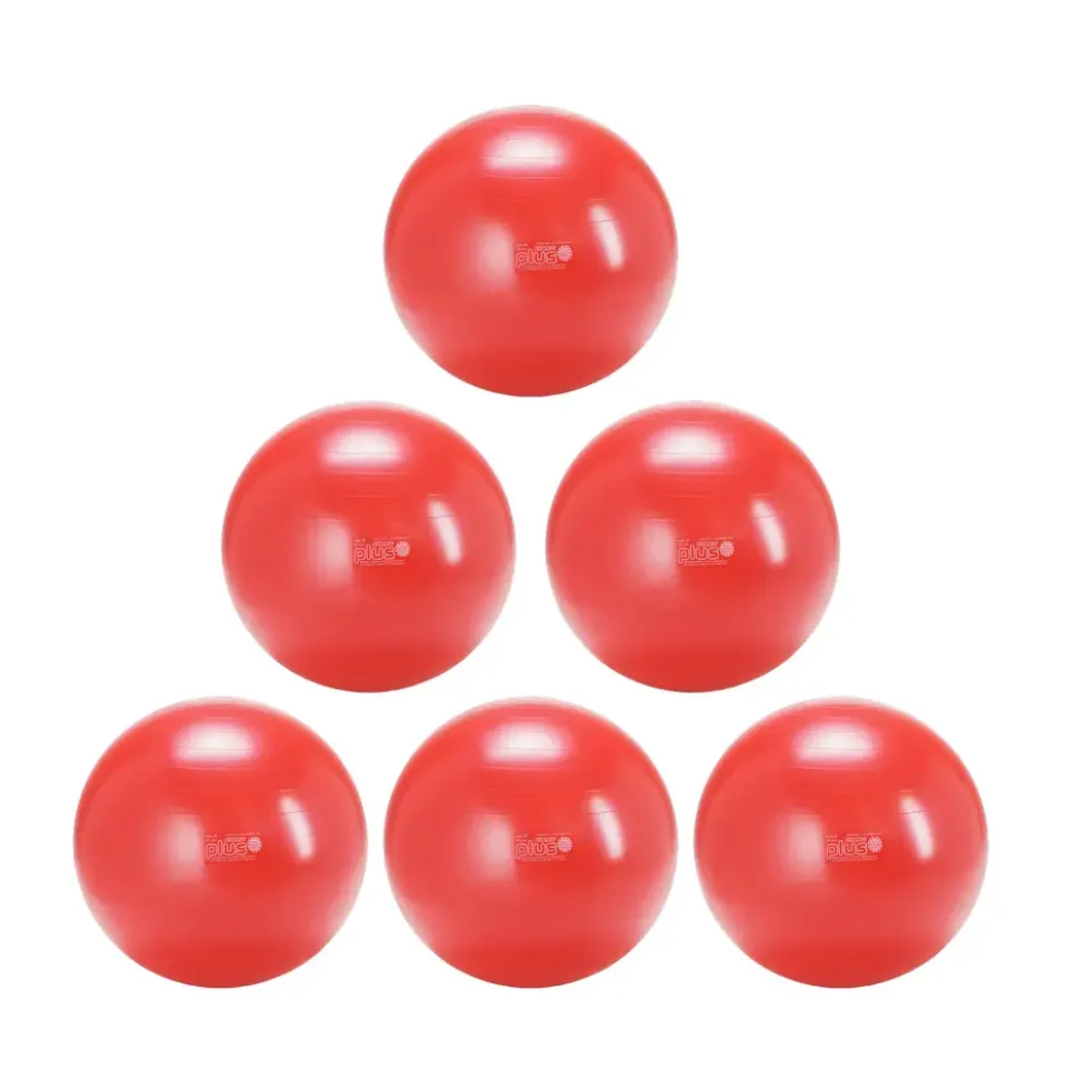 Gymnic Plus pakketilbud 6 stk. 55 cm