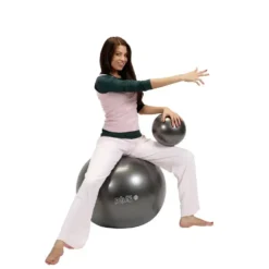 Gymnic Plus Svart 65 cm