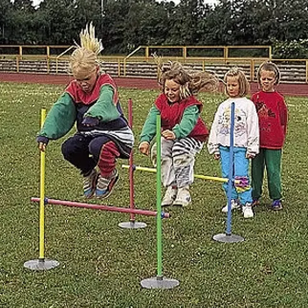 Hindersett Minihekk (1 hekk)