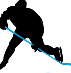 Ishockeykølle Nijdam® Senior L