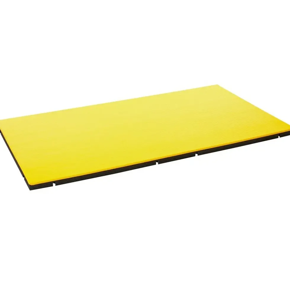 Kampsportmatte 200x100x5 cm I-TIS