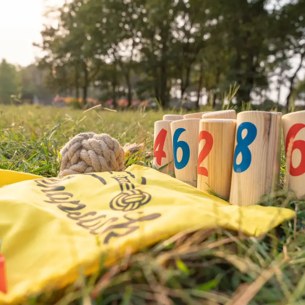 Kubbespill | Nummerkubb
