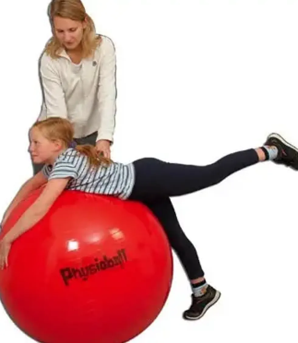 Ledragomma Original Pezziball 95cm