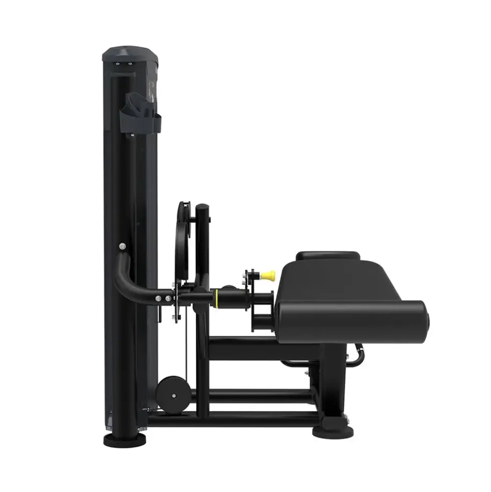 Leg Curl Impulse IT9521