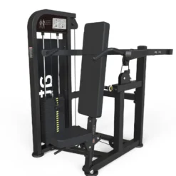Shoulder Press ata