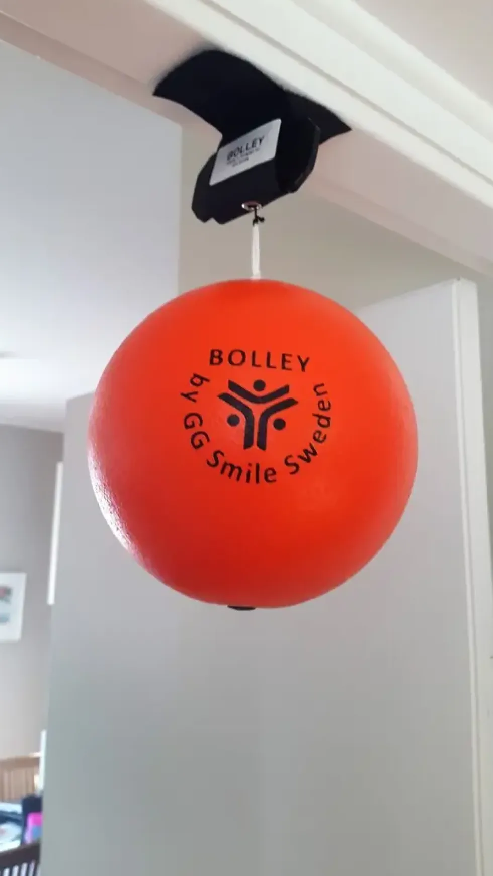 Skumball Bolley