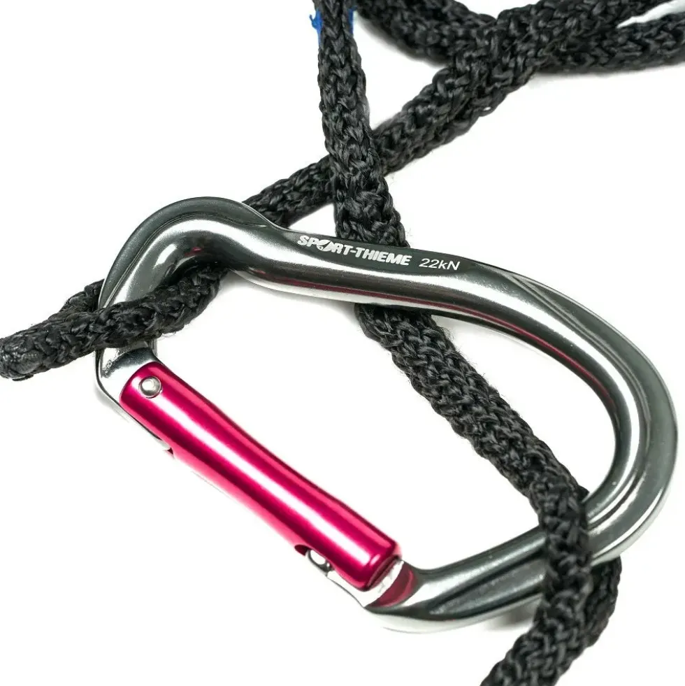 Slynge trener Switch