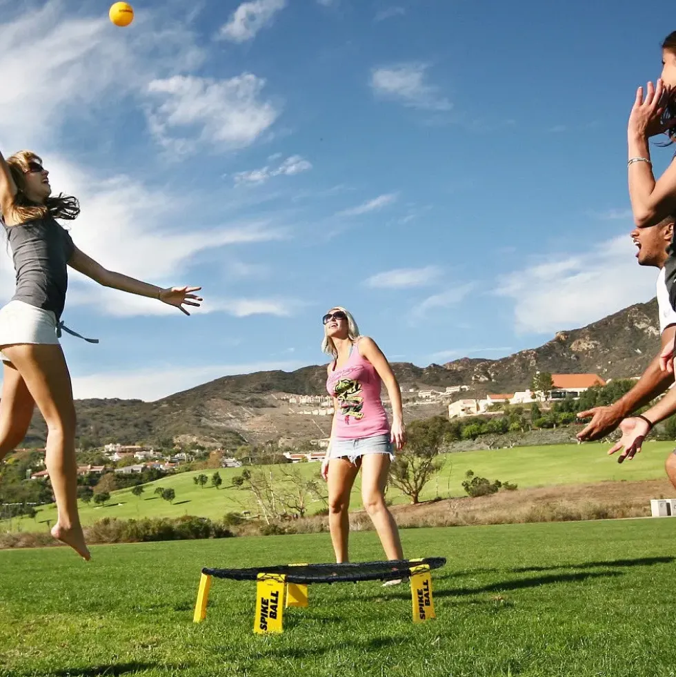 Spikeball