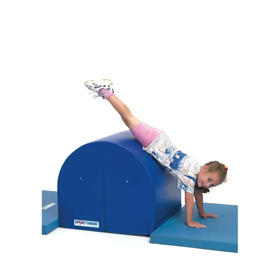 Sport-Thieme Voltpute