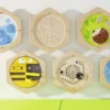 Veggpanel Hexagon Edderkopp