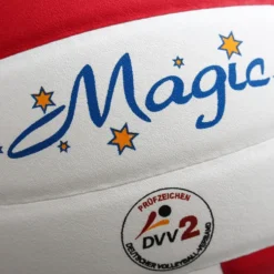 Volleyball Sport-Thieme Magic