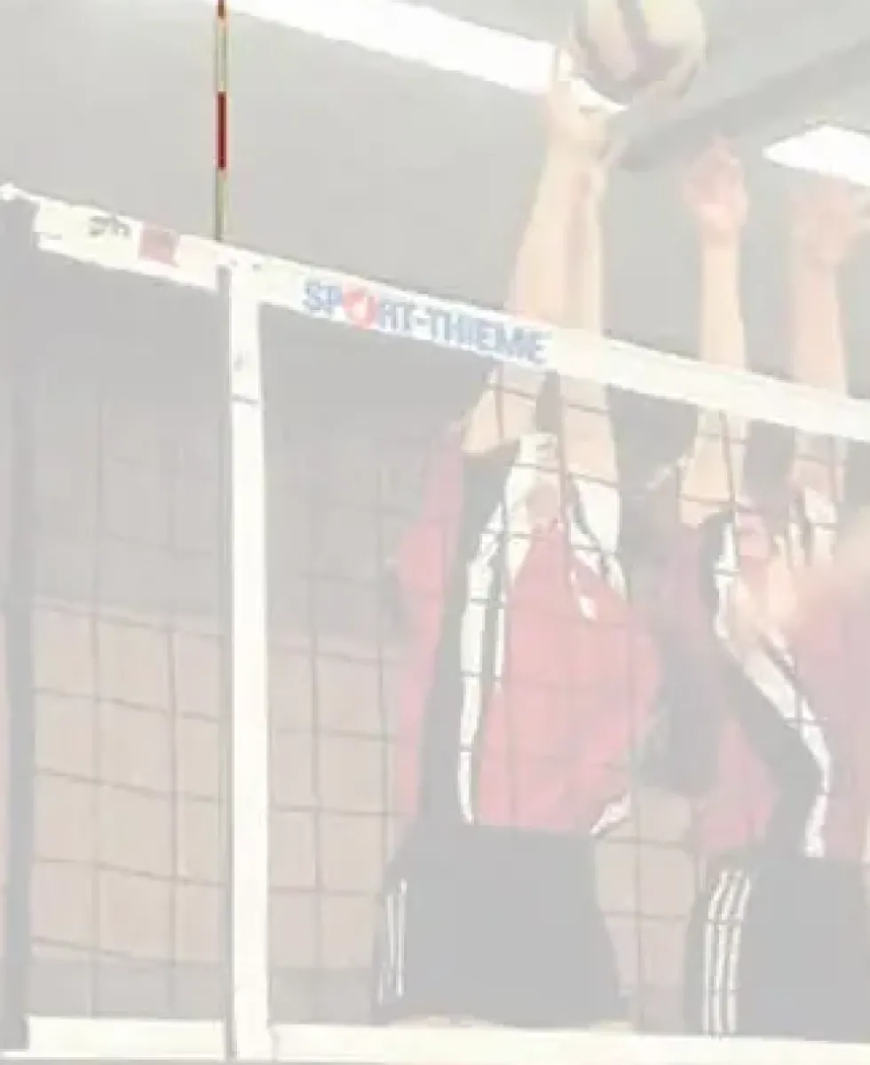 Volleyballantenne med lommer