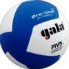 Volleyball Gala Pro Line BV5595S