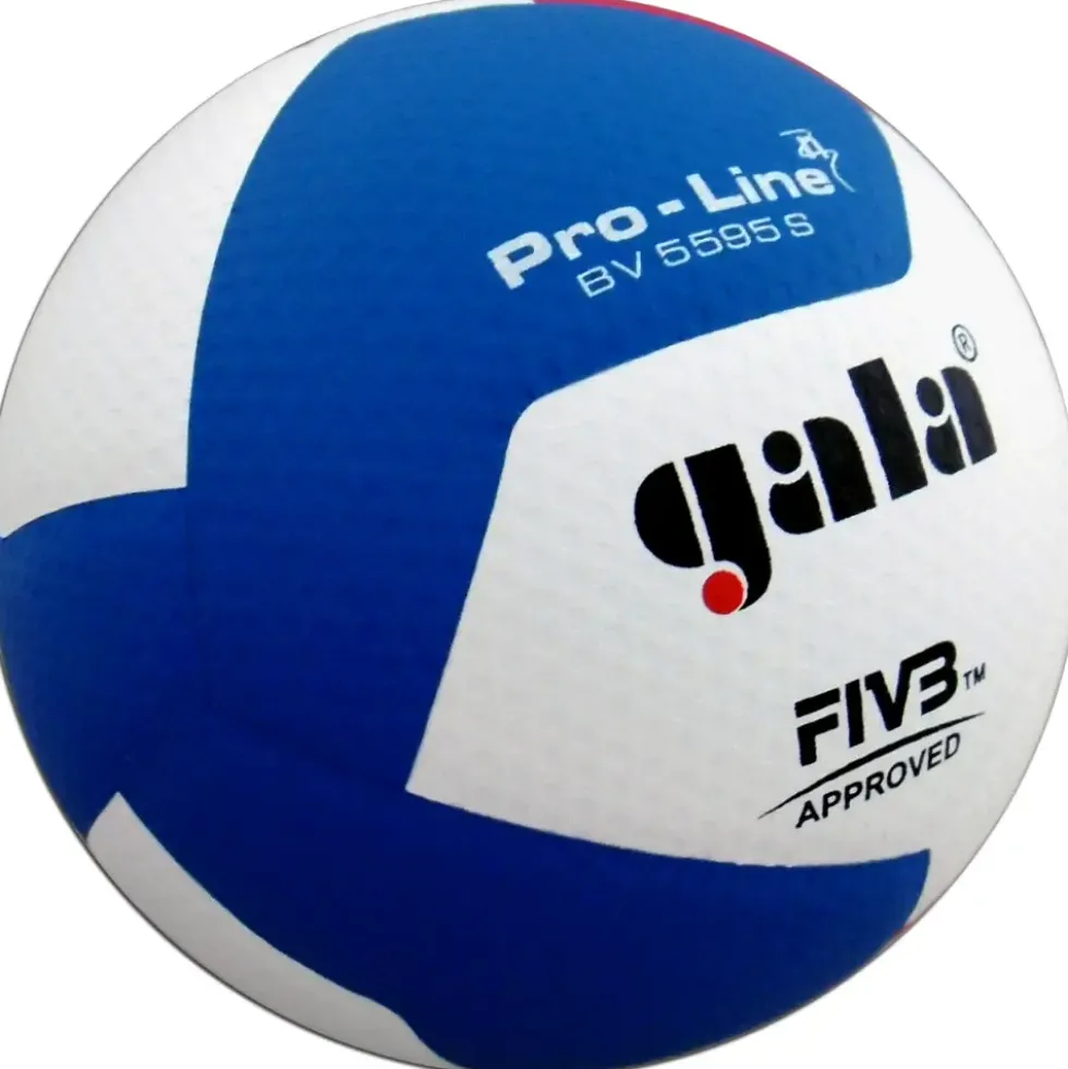 Volleyball Gala Pro Line BV5595S