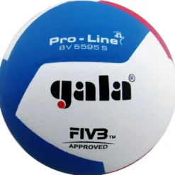Volleyball Gala Pro Line BV5595S