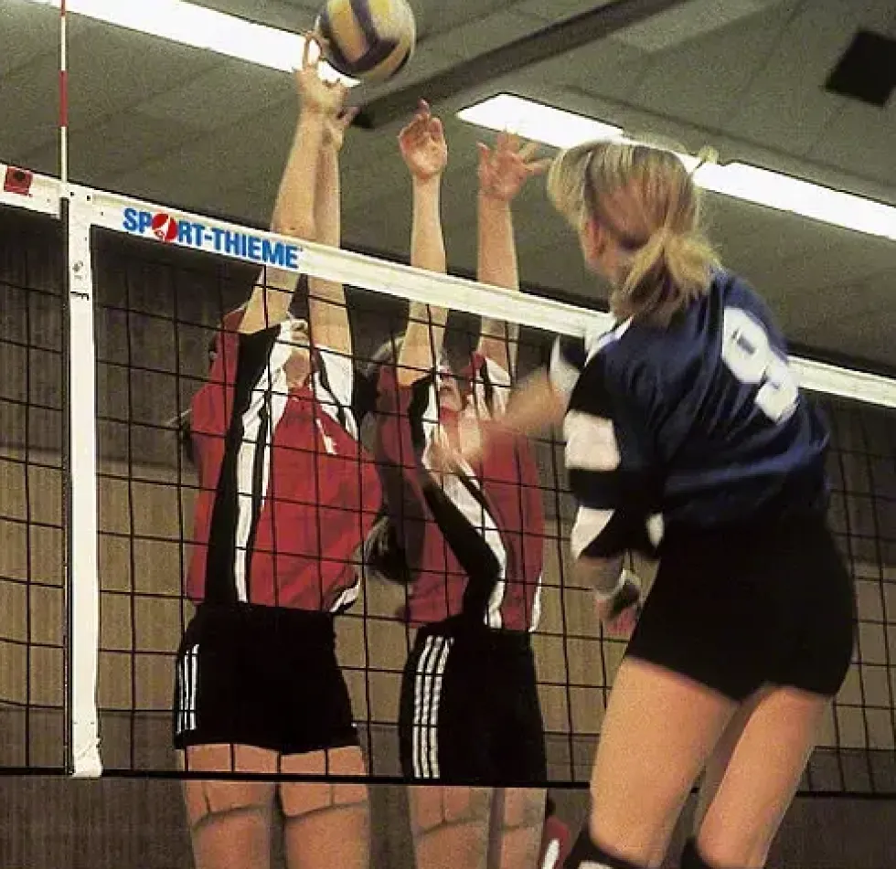 Volleyballnett DVV