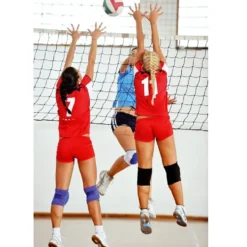 Volleyballnett DVV 1 med trinse