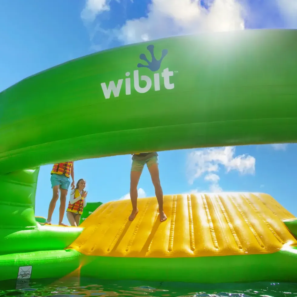 Wibit Level-Connect