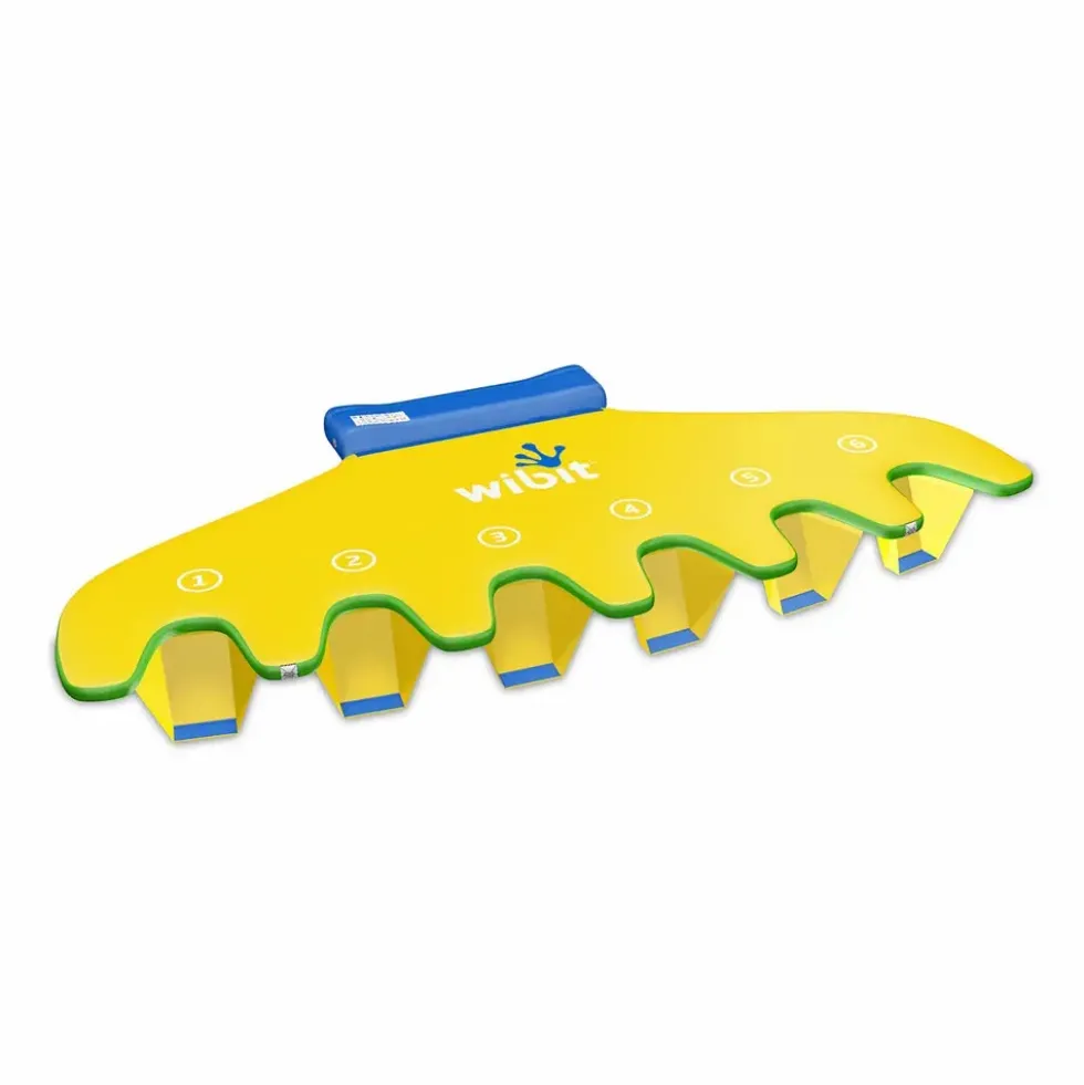 WIBIT Step 6